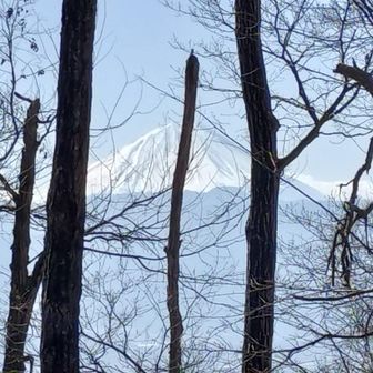 富士山が見えると、つい撮ってしまう