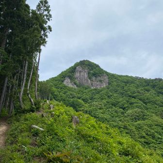 土屋　匠
