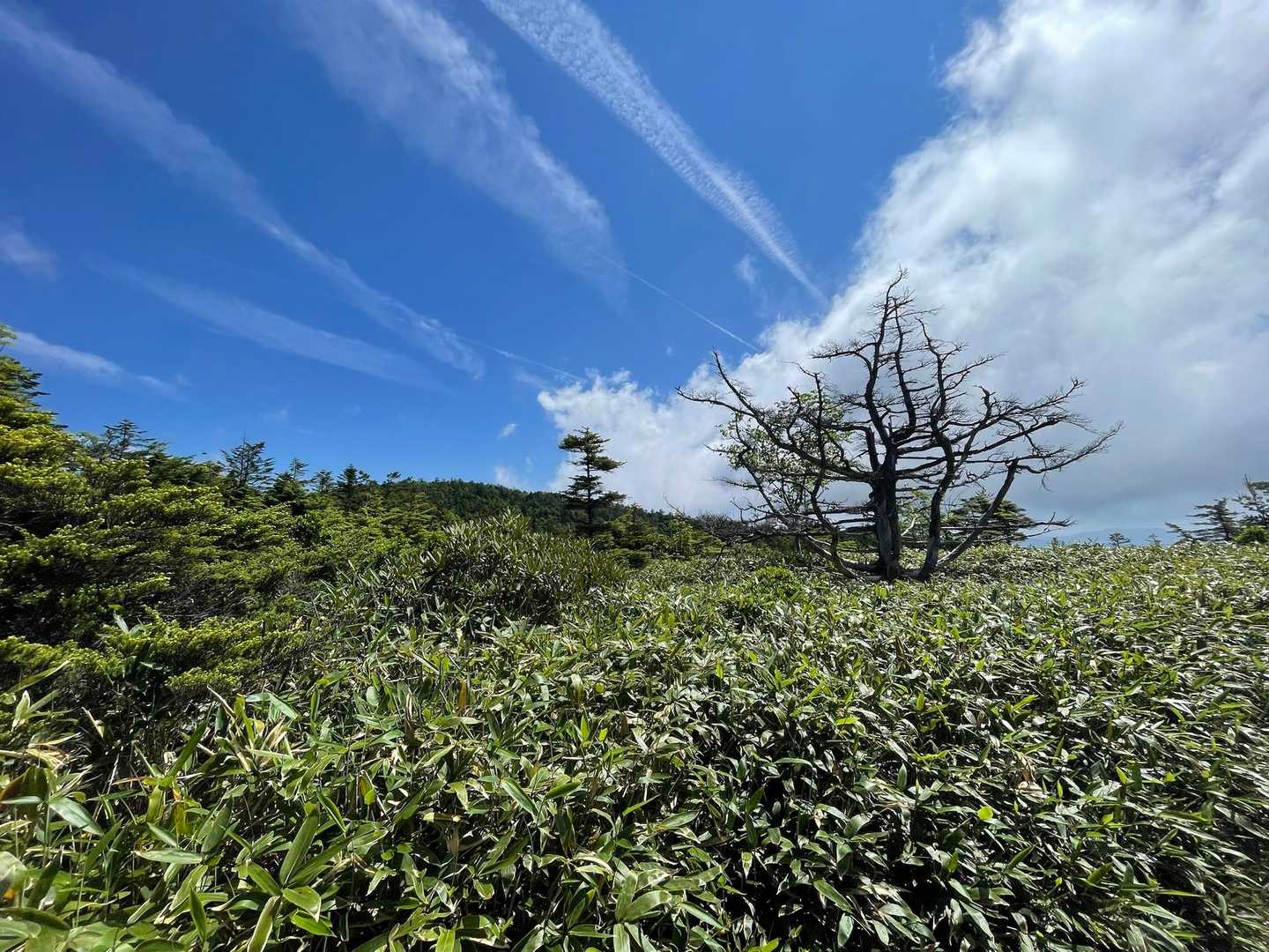 兜岩を過ぎると天国エリアへ