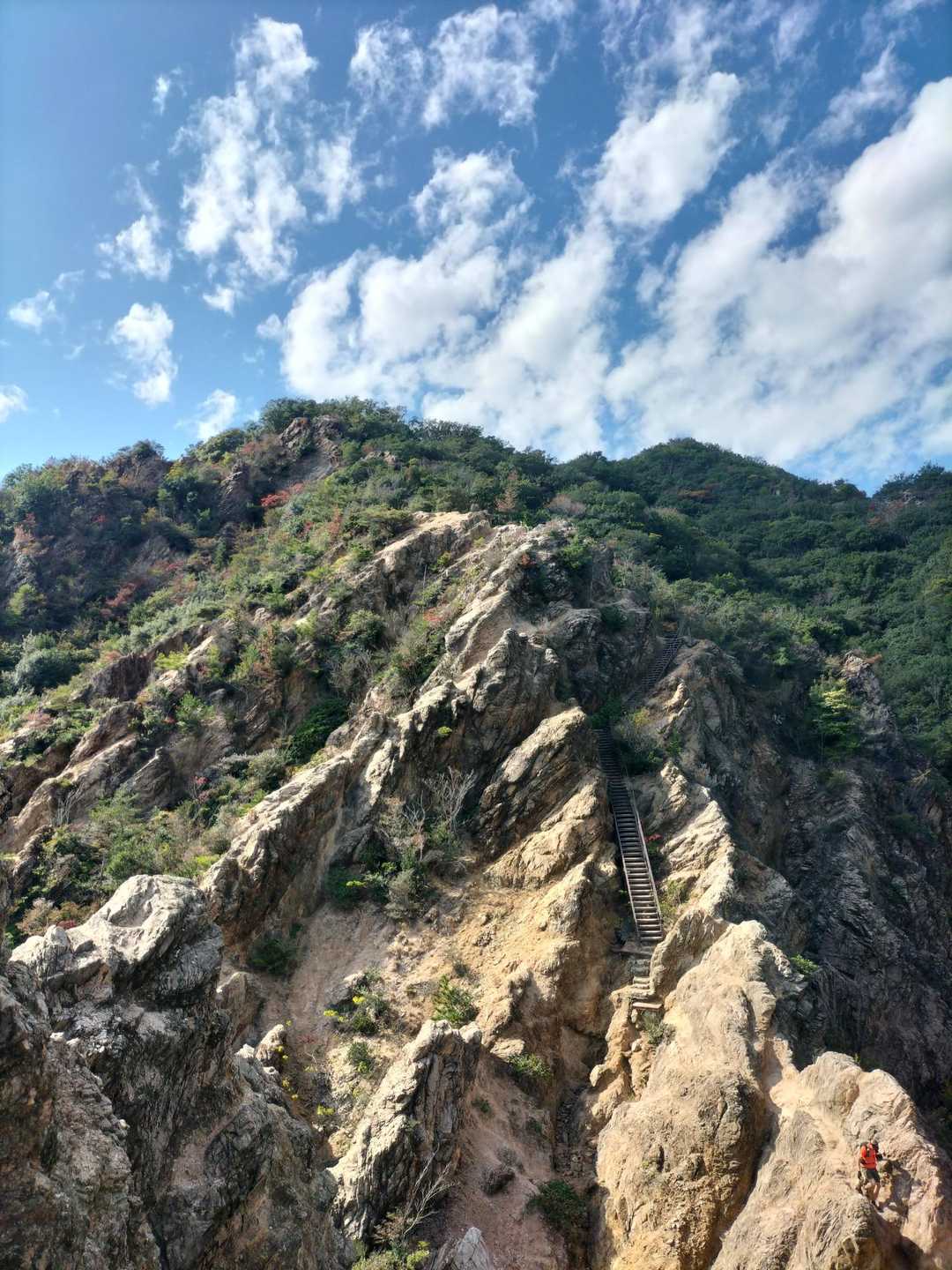 須磨浦公園駅前バス停-旗振山-鉄拐山-高倉山-高倉台登山口 縦走コースの写真