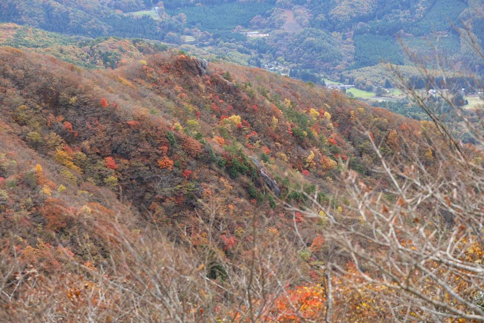 大滝根山 往復コースの写真