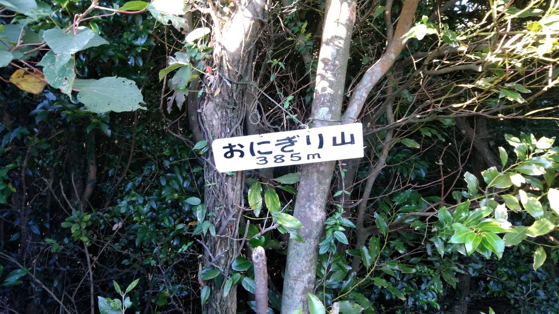 おにぎり山　頂上。