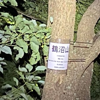 山頂異常なし