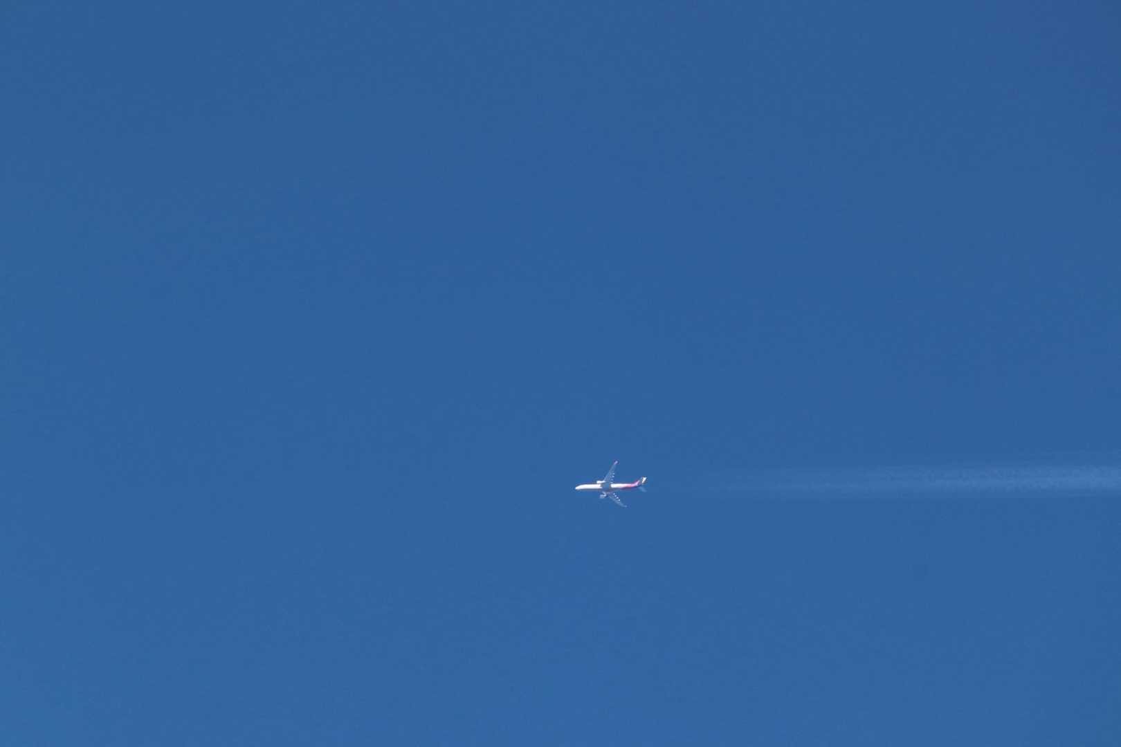 飛行機をズーム。望遠レンズの一眼レフ持参しました。