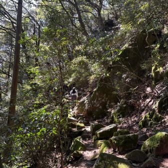 コッチの道もなかなか