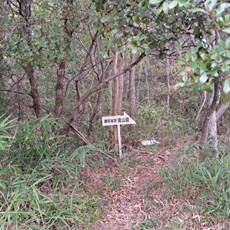 登山道入口
赤子谷山頂を越えて勝賀山を目指すルートです。