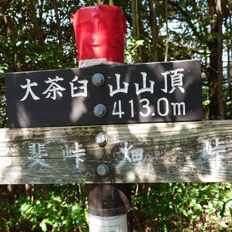 ここが大茶臼山　山頂　