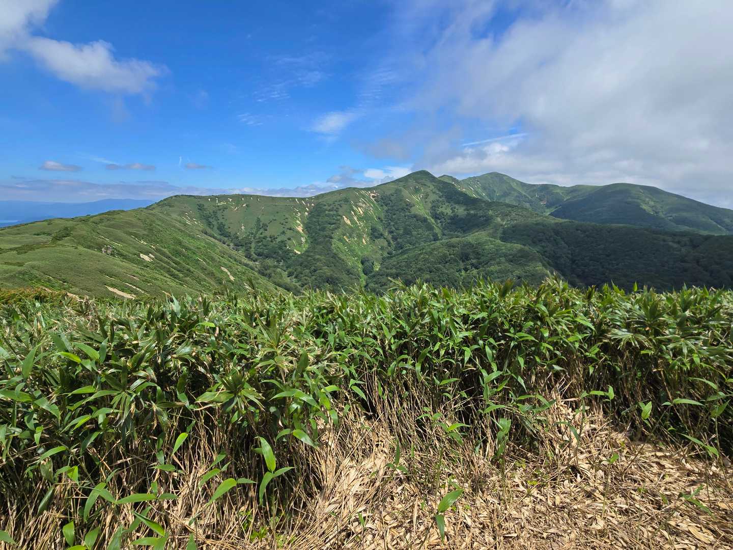 薬師岳からは和賀岳の稜線が一望できました。奥が和賀岳かな。距離は長い（往復8km程度）が素晴らしいルートで気持ち良かった。