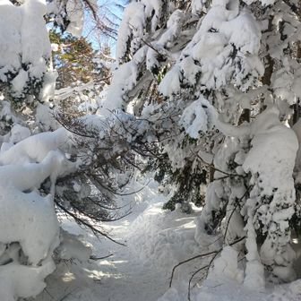 意外と雪あるね
