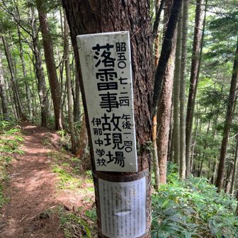 ５０年前に落雷があったようです。