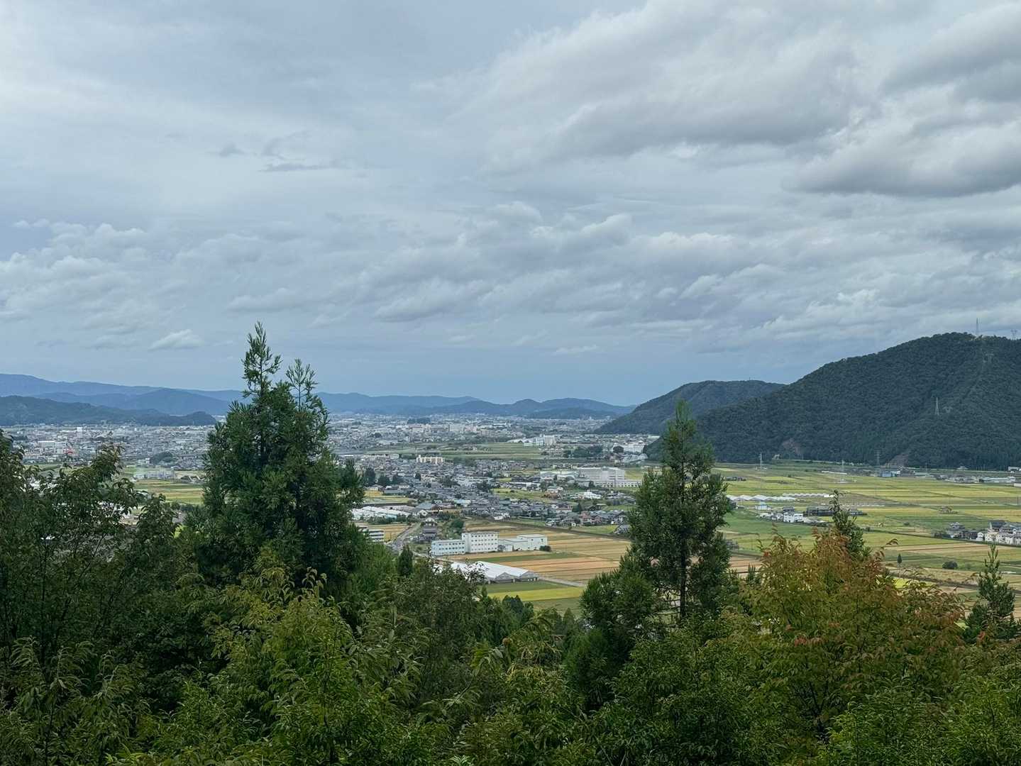 開けるとナイス👍🙂