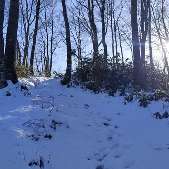 雪❄　ツボ足〜