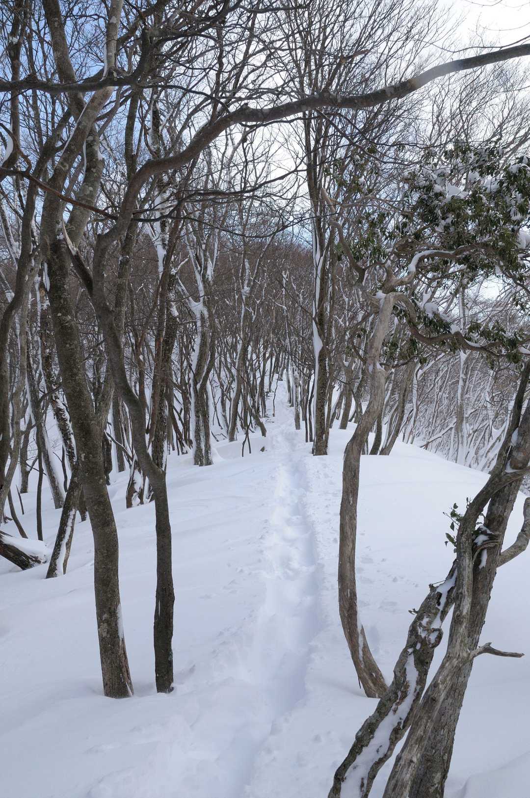 登りはキツかったけど下りは楽でイイやね😅