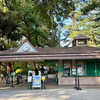 千駄ヶ谷方面へ抜けます