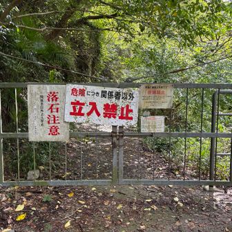 ここまで来ると一安心。