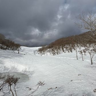 ランチ後に御池らしい景色飛び込んできた