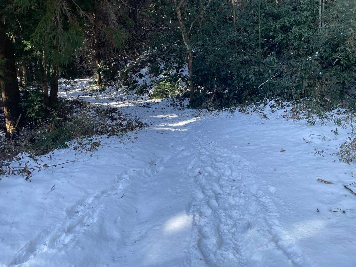 雪が現れましたが、ツボ足で大丈夫でした。