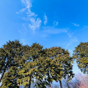 
                         何もかもに癒される…
                                 🩵💚🩵
　　　　　　　      - ̗̀(˶'ᵕ'˶) ̖́-