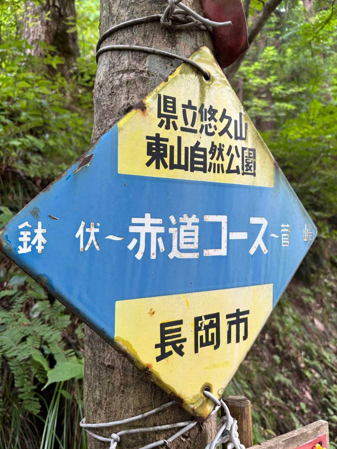 この古びた看板
好きなんですよね〜✌️