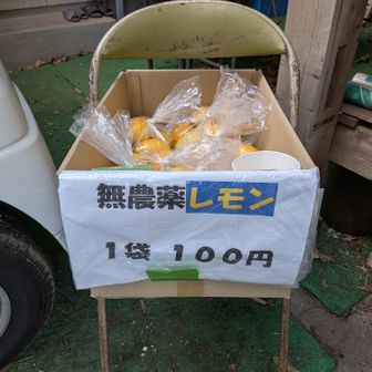 無農薬レモン🍋買いました〜