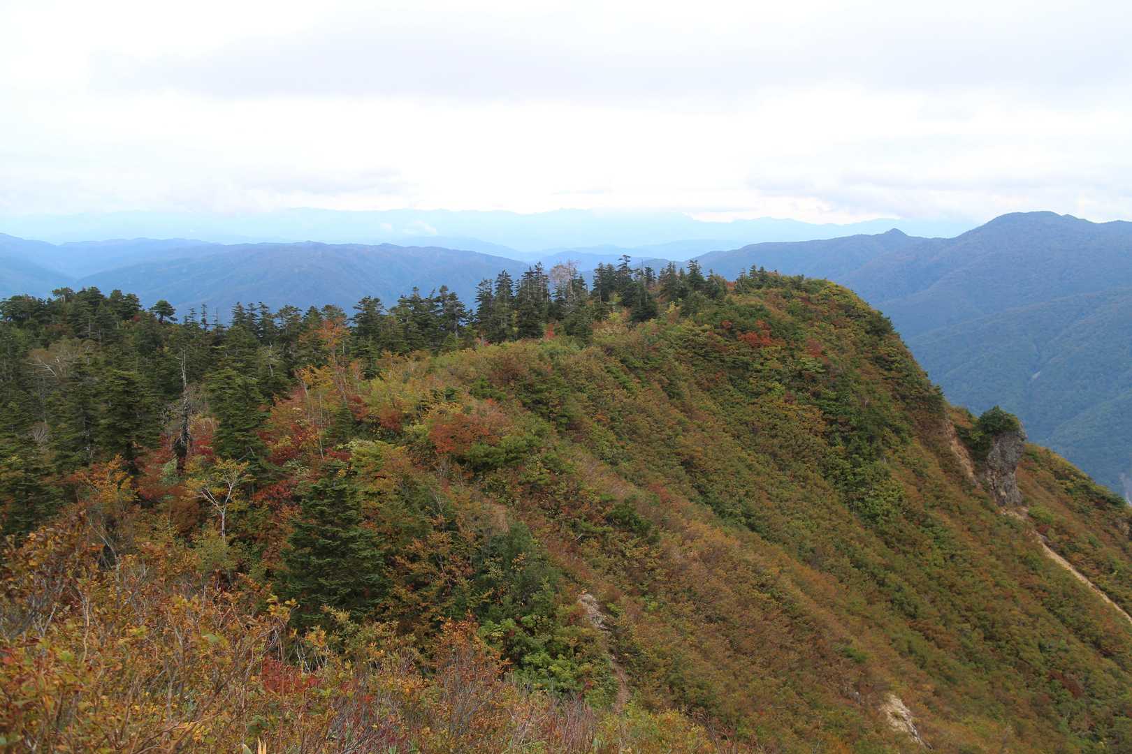 鶴平新道登山口-赤頭山-野谷荘司山-馬狩荘司山-三方岩岳 周回コースの写真