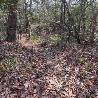 十三重塔の方へ降ります