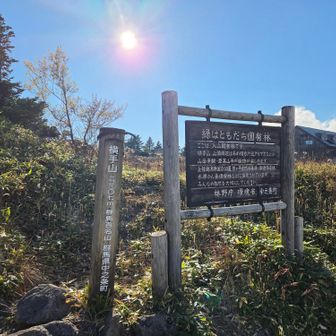 横手山の柱だが、山頂ではないはず🤔。