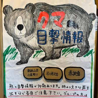 やっぱり出るのね。。