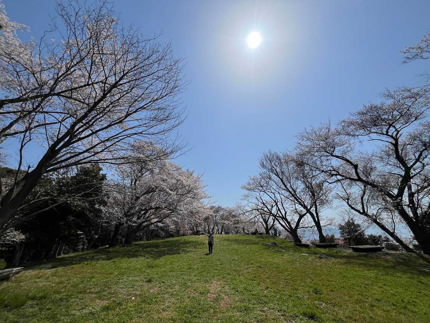 紫雲出山往復 | 漁港から山頂へ。瀬戸内海の島々を望むドラマチック眺望コースの写真