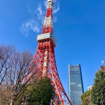 この時間帯の空が綺麗でした⭐️