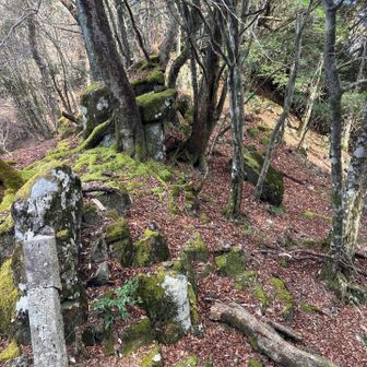 こちらに行くと　石…なんとか🙄　次へ