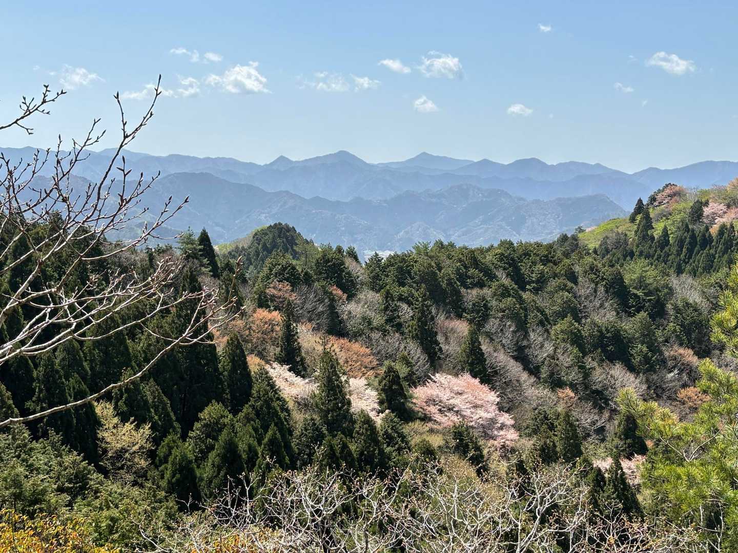 大好きな春の風景です🌸⛰️