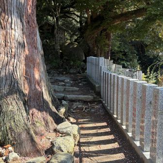 神社脇のひっそりとした小道を進むと登山道に出る。今回は行きは白雲橋コース、下りは御幸ヶ原コースで登ります！
