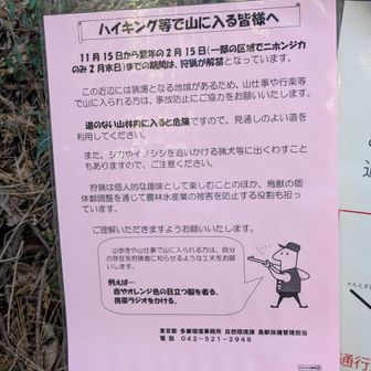 狩猟が解禁になっているそうで、目立つ色の服が推奨されていました…って、下山してから知りました…