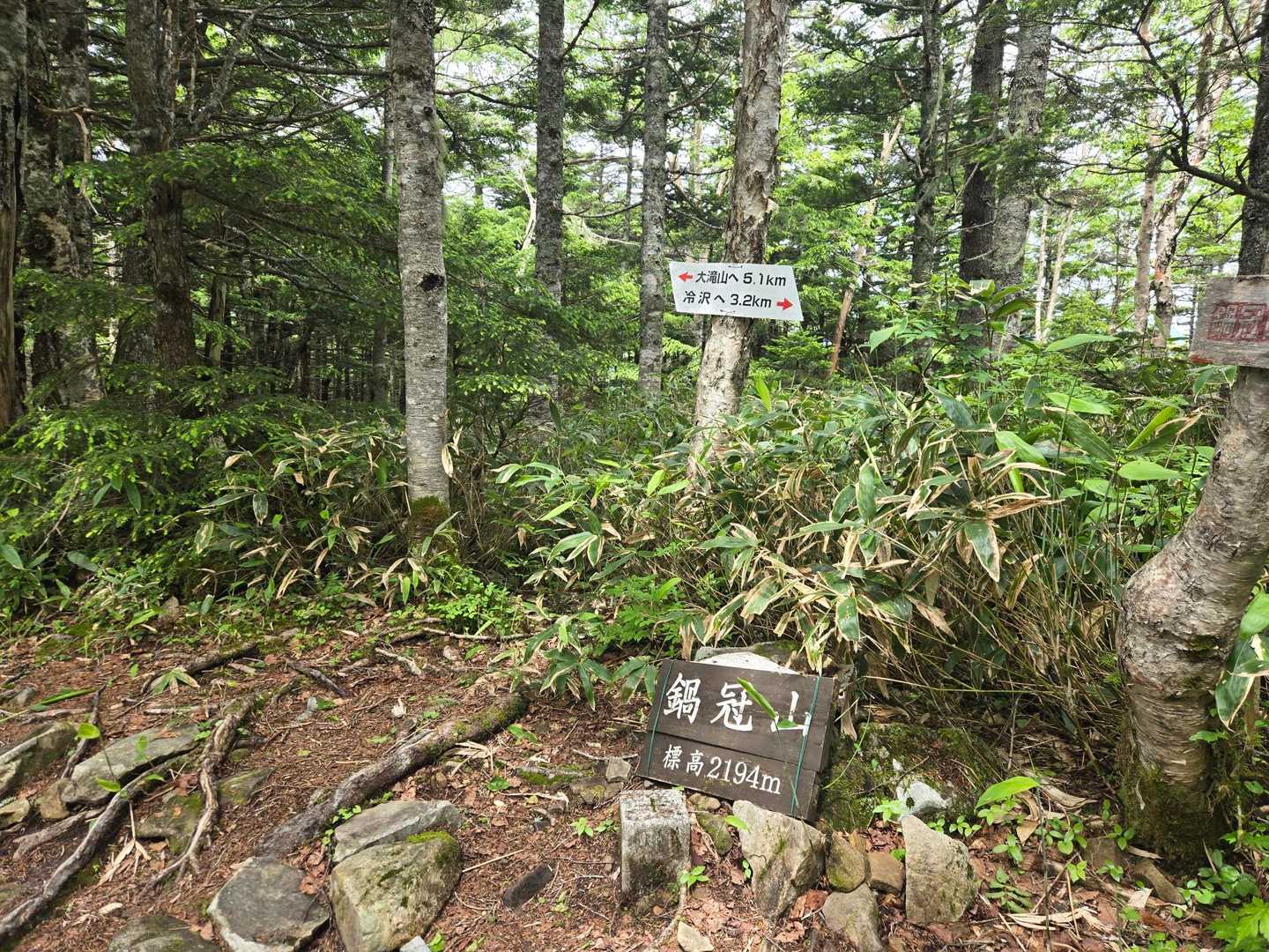 鍋冠山登頂(^-^)/
樹林に囲まれた山頂は展望ナシ