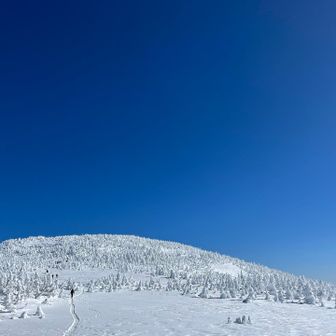 先行者の方々が見えて安心🥲