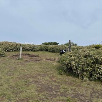山頂は開けている