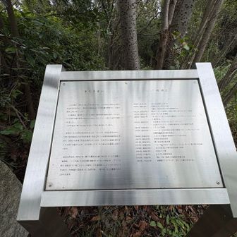 撮ったものの、なんちゃ読めん😆