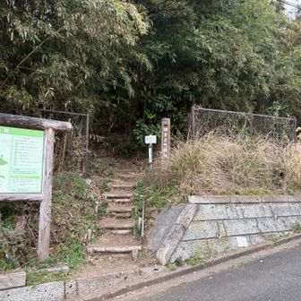 みんなまだ元気ありそうなので、予定通り山へ入る。お酒も入って、楽しく歩く🚶‍♂️