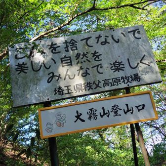 よく見ると色あせたコバトン💦