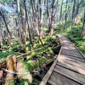 八ヶ岳の様に苔がキレイ
さぁ下山後の温泉、温泉😙