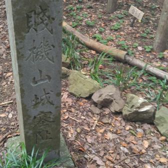 賤機山山頂。