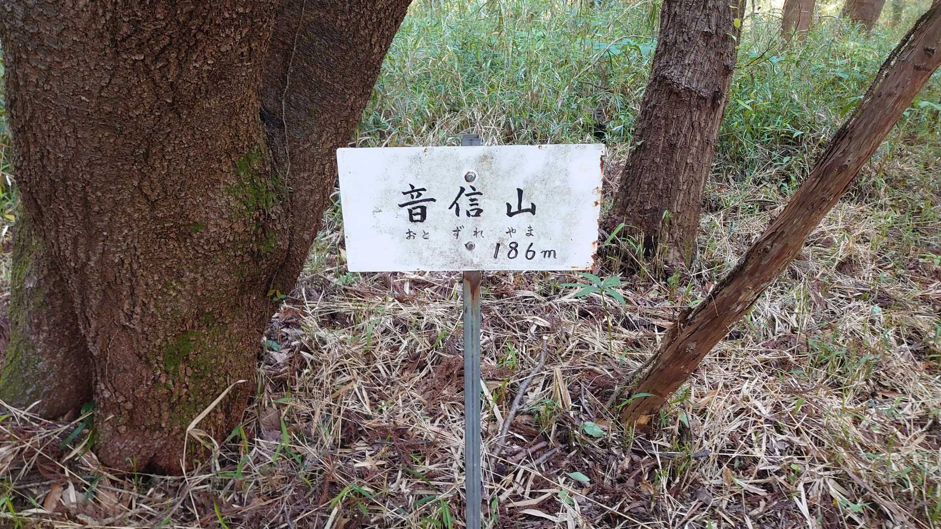 音信山　山頂。
草はきれいに刈られています。
眺望無しですが、通ってきた道から歴史を感じます。