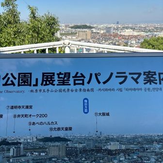 奥には允恭天皇古墳　いんぎょうてんのう