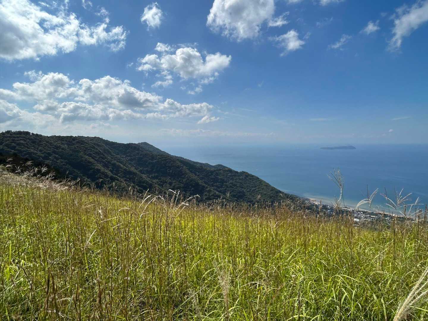 少し進んで🥾
【寝転がりゾーン】のはずが、
残念〜今日は一面ススキでした。