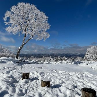 この広場は白山が一望できるスポットの様ですが
あいにく今日は見えませんでした