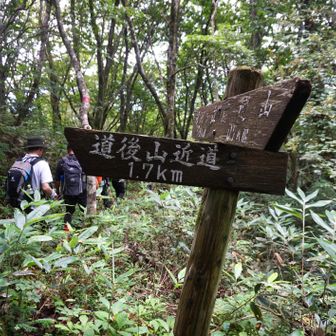 岩樋山から下山中
道後山の分岐まで下りて来ました