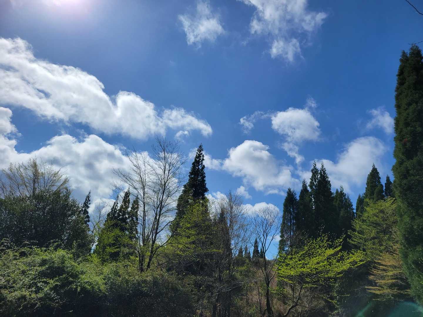 登山口で📸
実はここに向かうまでに結構雨に降られた
晴れて良かった～
でも途中でやっぱり小雨にあう