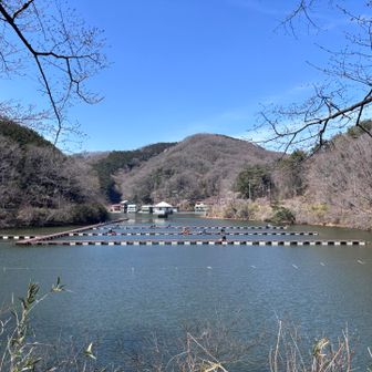 魚釣り🎣はちらほら