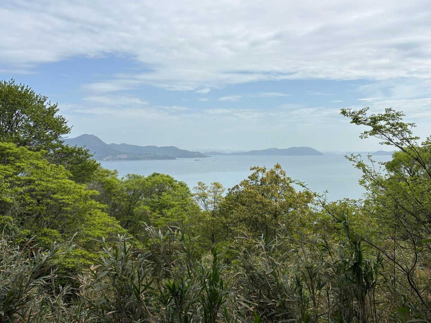 又展望所素敵